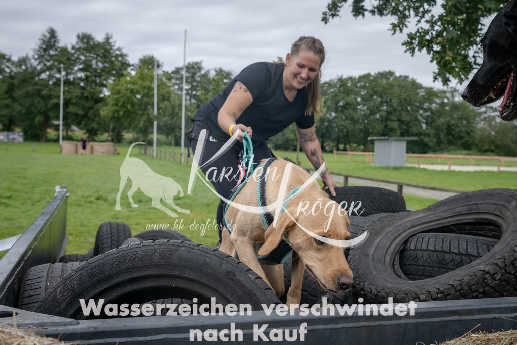 1256_ZZ92794 | kk-dogfotos