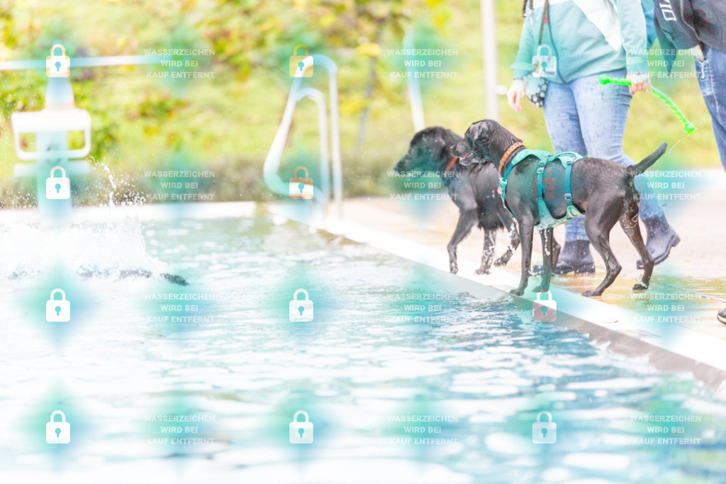 _HP_7315_1000o | HetPix, HetPix Fotodesign, Fotografie, Fotodesign, Webshop, Sportfotografie, Portraitfotografie, Onlineshop, Sportfotografie, Polch, Motorsportfotografie, Eventfotografie