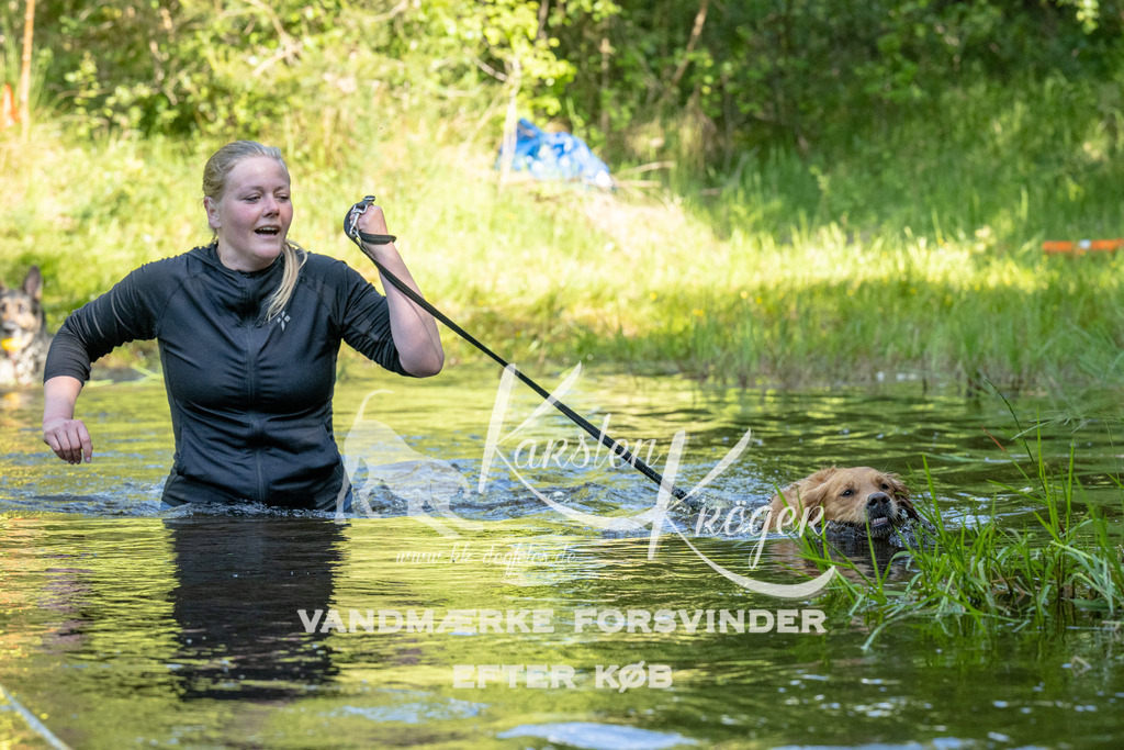 0919DKK9_ZZ91376 | kk-dogfotos
