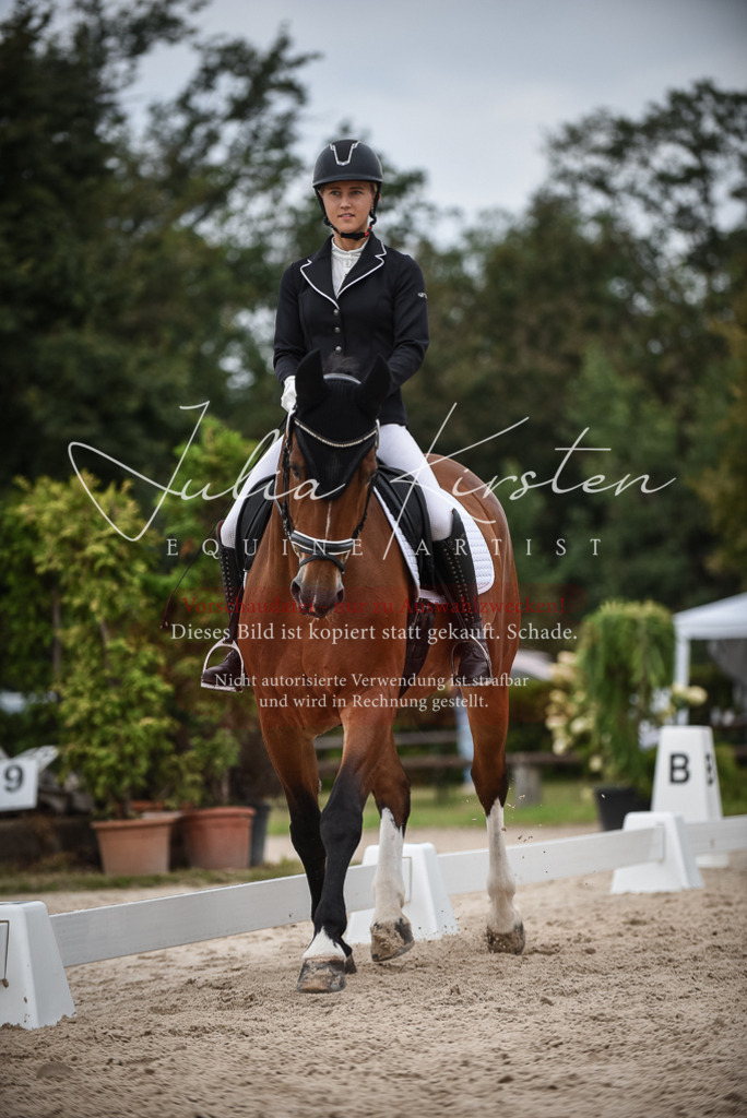 DSC_8280 | Pferde- und Turnierfotografie in Westsachsen. Pferdeportraits, Auftragszeichnungen und intuitive Kunst.