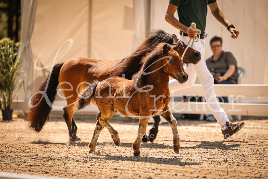 01.DoKR00056 | Leoni Ertmer Photography - Realisiert mit Pictrs.com