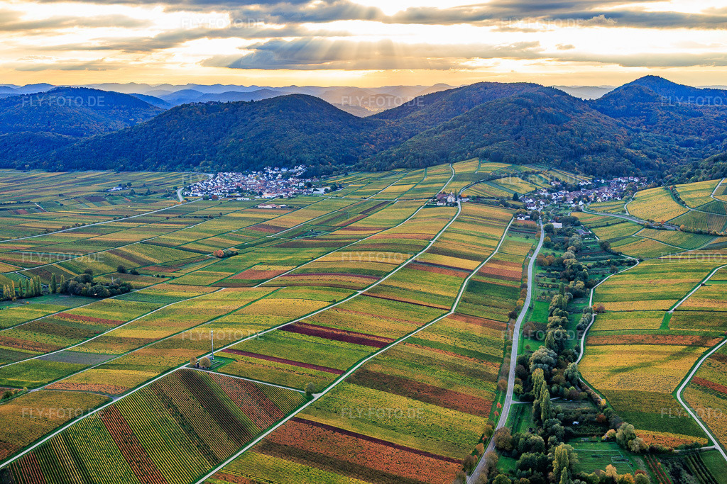 Luftbild: Herbstlich bunte Wingert zwischen Birnbach und Aalmühl am Weinlehrpfad Leinsweiler in Leinsweiler im Bundesland Rheinland-Pfalz in Deutschland. Foto: IMG_150348.jpg vom 15.10.2025 durch Werner Riehm/FLY-FOTO.de