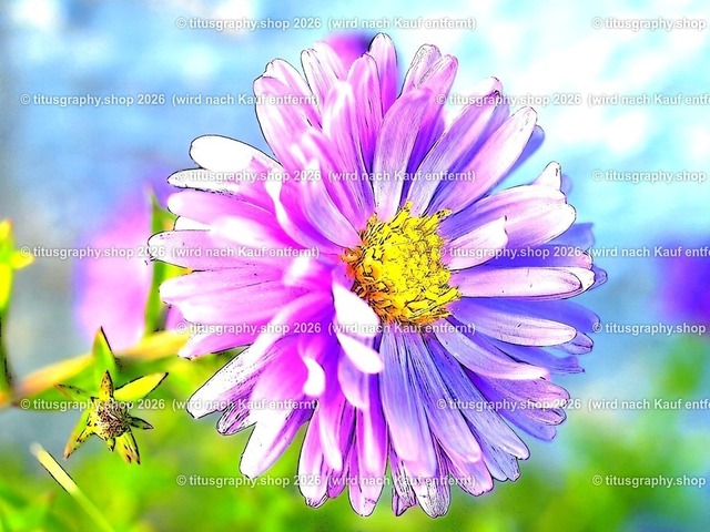 titusgraphy_P9221005-vz-ln_pe-05 | titusgraphy-shop: Geschenkideen mit Qualitätsfotos. titusgraphy-shop: gift ideas with quality photos. titusgraphy-shop: idées cadeaux avec photos de qualité.  - Realisiert mit Pictrs.com