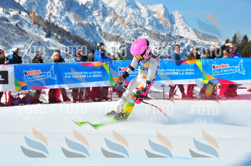 DSC_0839 | holidayphoto