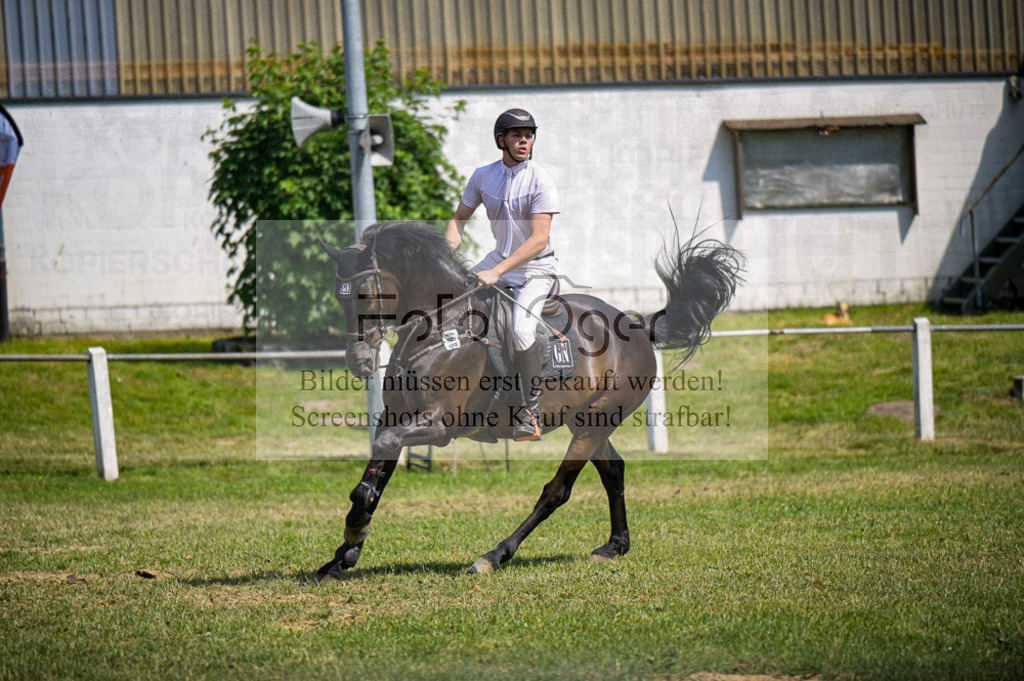 Reitturnier Voxtrup | Entdecke hochwertige Reitturnierfotos von Foto Oger. Professionell, emotional und authentisch – jetzt Lieblingsmomente im Shop bestellen.Deutschlandweite Turnierfotografie. - Realisiert mit Pictrs.com