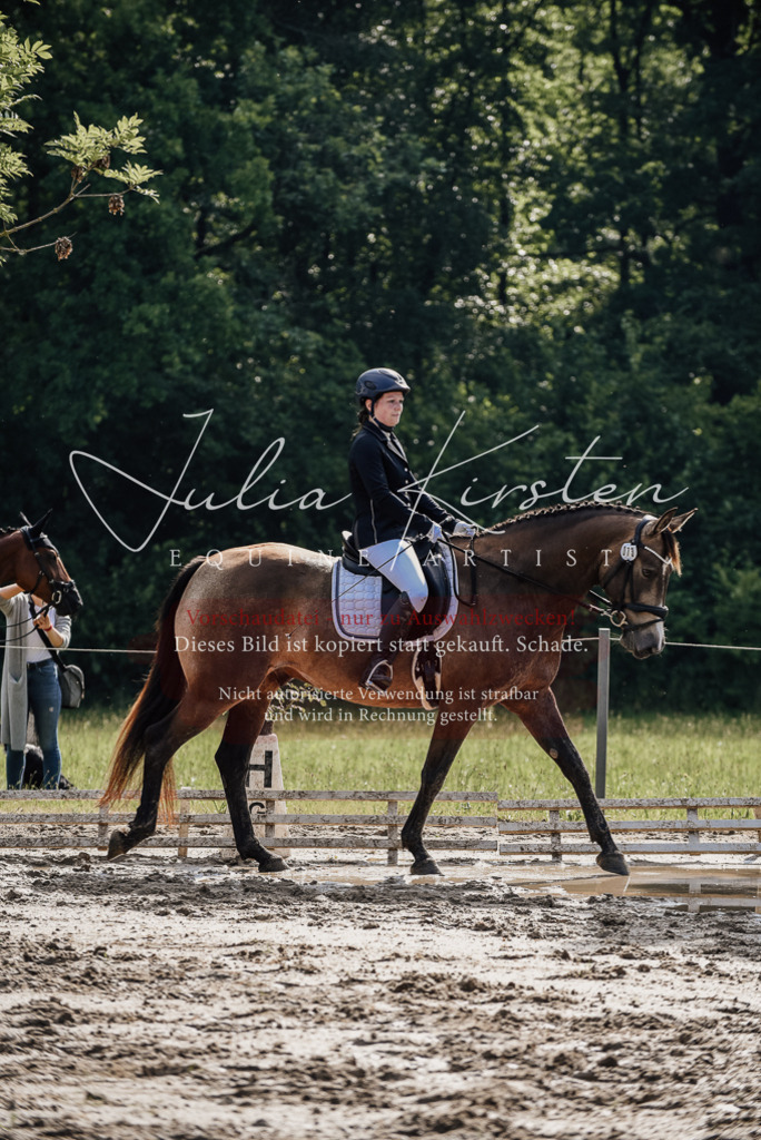DSC_9207 | Pferde- und Turnierfotografie in Westsachsen. Pferdeportraits, Auftragszeichnungen und intuitive Kunst.