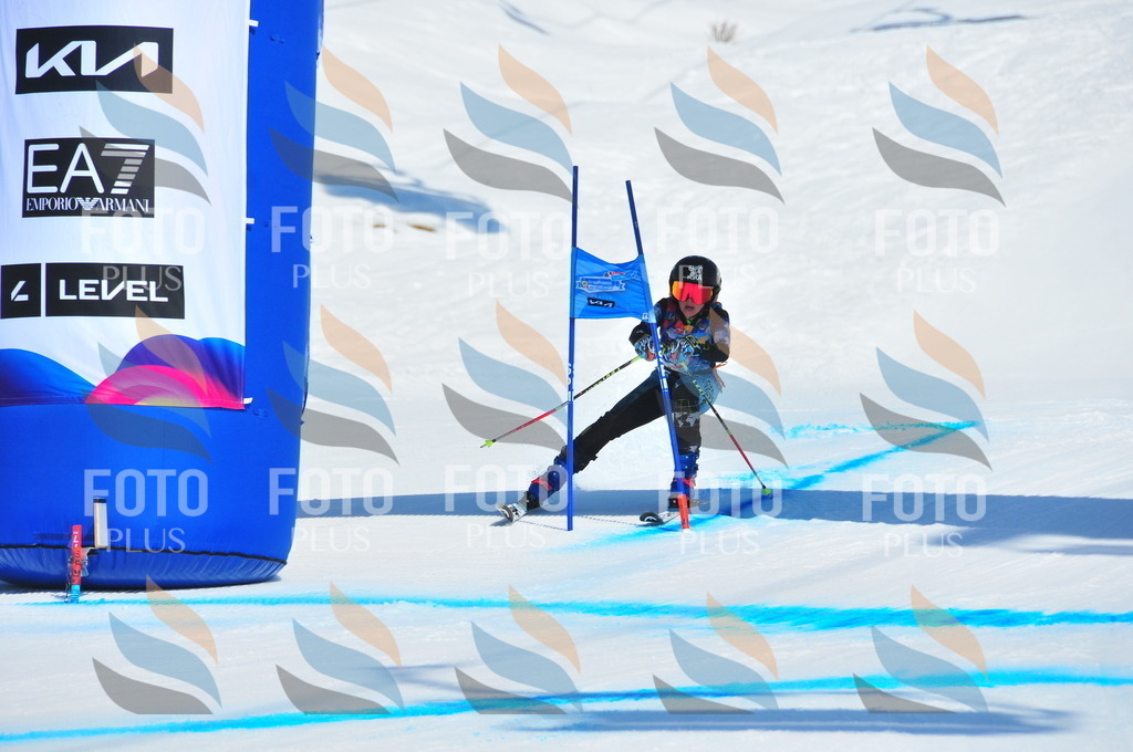 DSC_4587 | holidayphoto