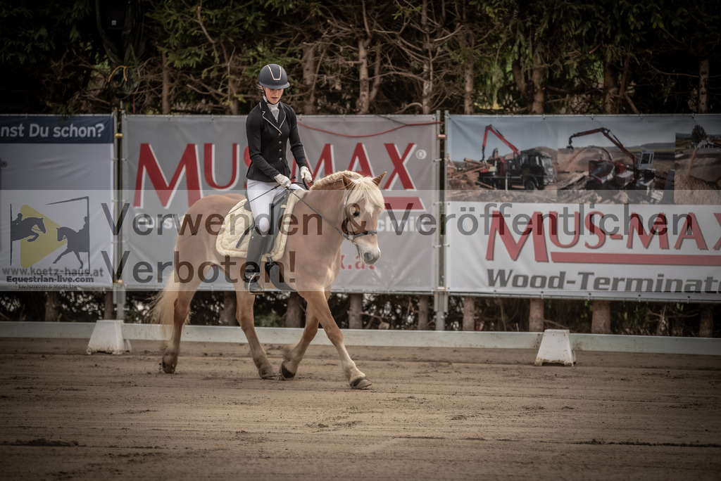 DSC_8109 | equestrian-live-com