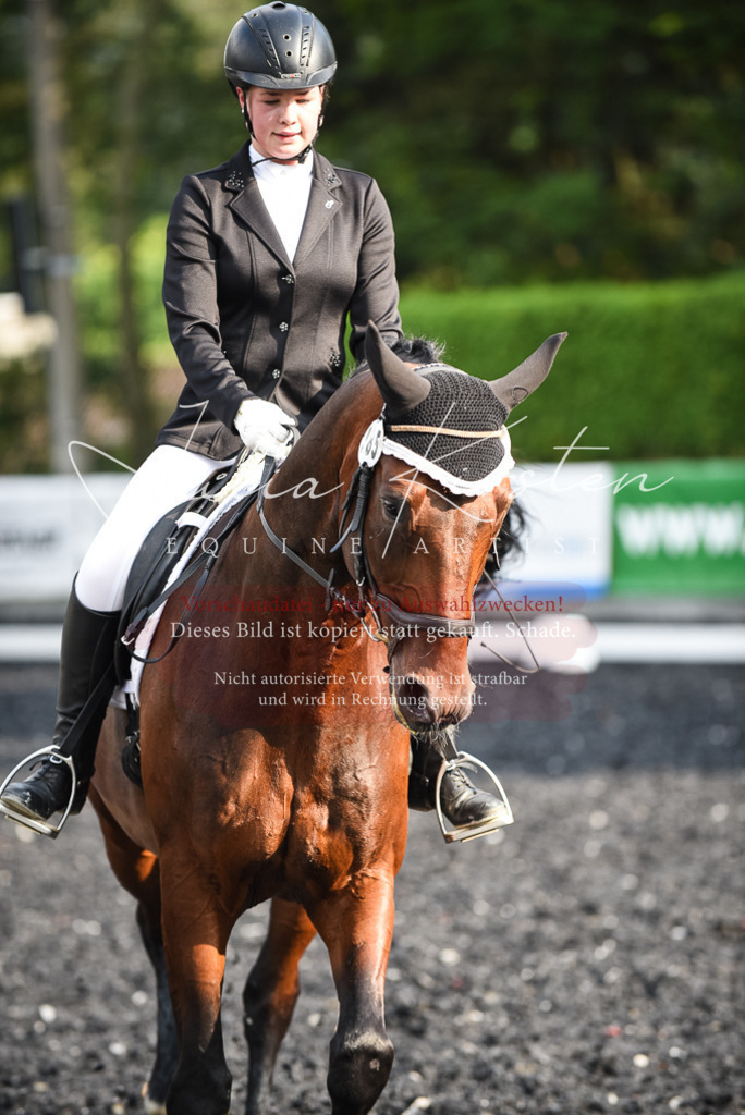 DSC_3326 | Pferde- und Turnierfotografie in Westsachsen. Pferdeportraits, Auftragszeichnungen und intuitive Kunst.