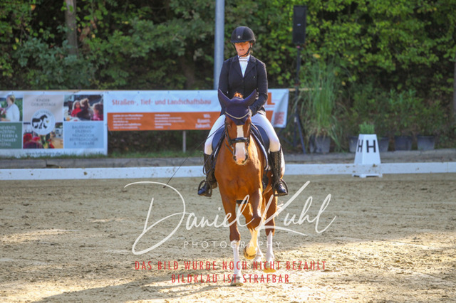 DKP41654 | Turniersportfotografie; Pferdefotografie; Dressurfotografie