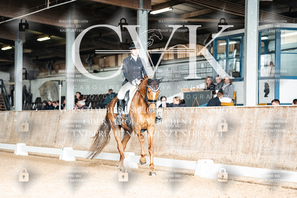 CK903156 | Turnierfotografie Pferdefotografie Trier Rheinland-Pfalz Pferdesport Reitsport Tierfotografie Sportfotografie Pferdevideo Pferdevideografie Equestrianvideography equestrianphotography  - Realized with Pictrs.com