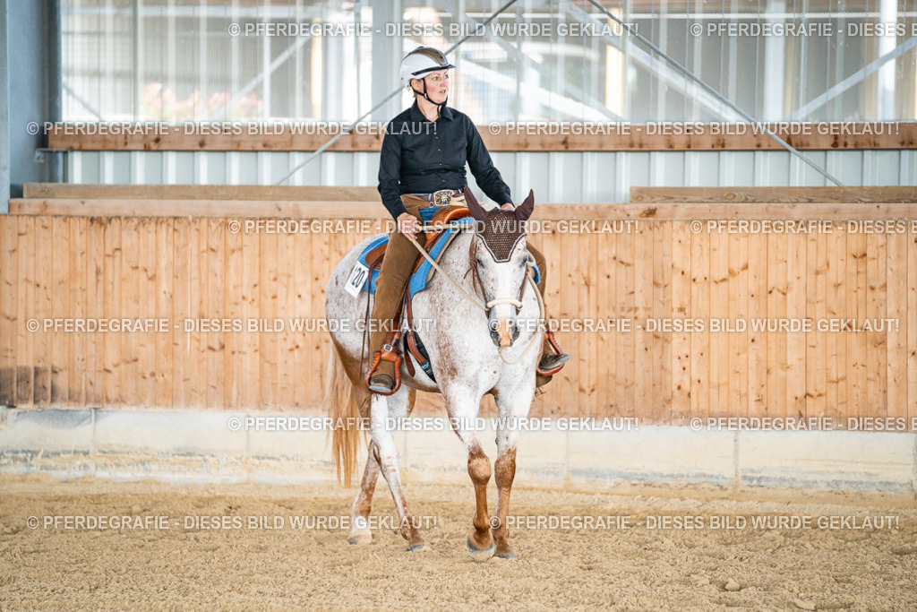 DSC08580 | Pferdegrafie