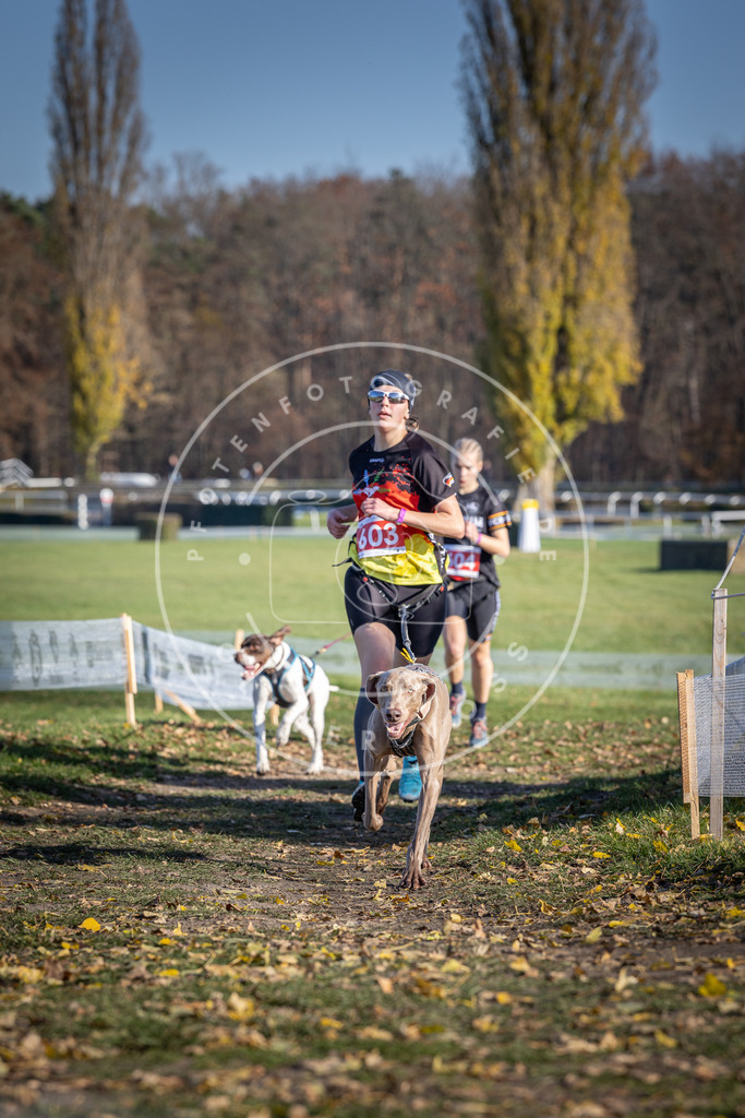 CaniXpix_DV3A9552 | Hundefotografie, Tierfotograf, Pfotenfotografie, Fotoshooting Hund, Hunde Portrait, Hundesport, Hundeportraits, Heideshooting, Hunde, Sportfotograf, Hundefotograf, Turnierhundsport, THS,  - Realisiert mit Pictrs.com
