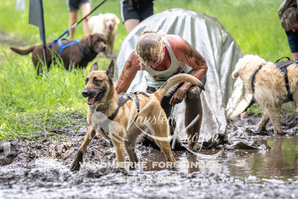 1250_ZZ93804 | kk-dogfotos