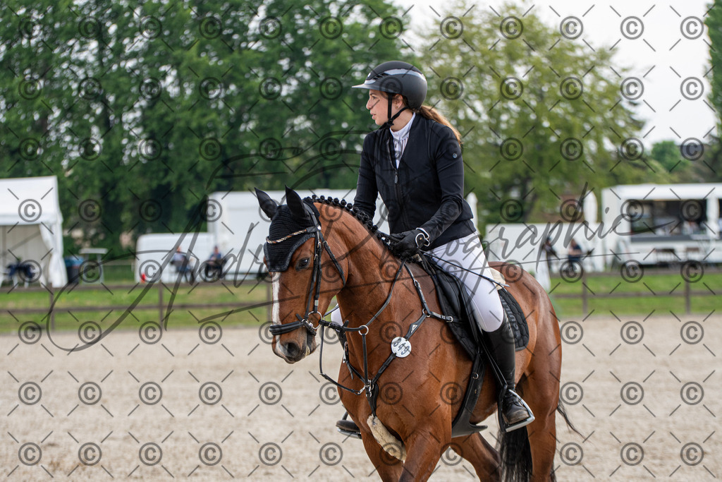 KPT_2198 | andre_photographic