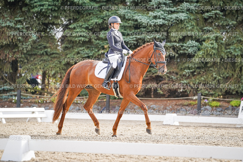 DSC00739 | Pferdegrafie