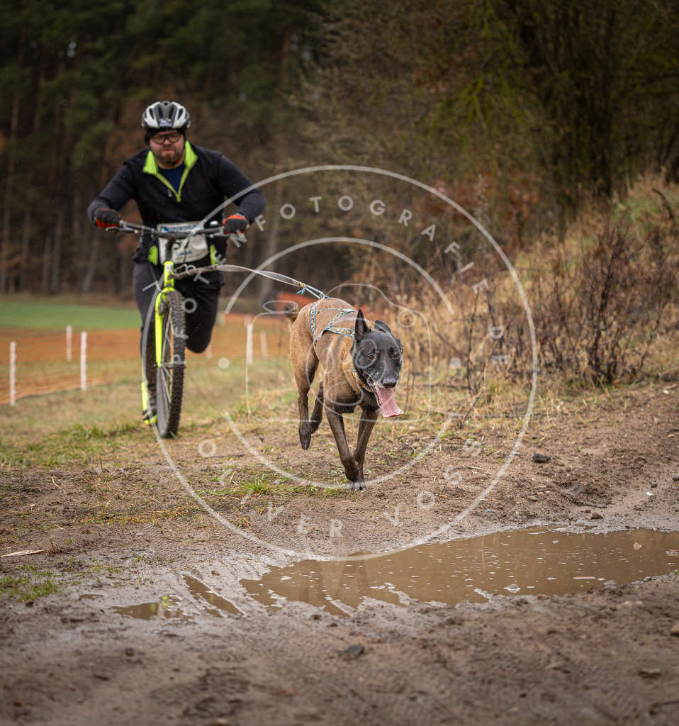 DV3A9479 | Hundefotografie, Tierfotograf, Pfotenfotografie, Fotoshooting Hund, Hunde Portrait, Hundesport, Hundeportraits, Heideshooting, Hunde, Sportfotograf, Hundefotograf, Turnierhundsport, THS,  - Realisiert mit Pictrs.com