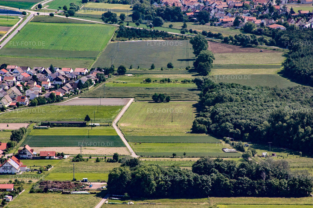 Luftbild: Erlenbach und Feldlachgraben in Hatzenbühl im Bundesland Rheinland-Pfalz in Deutschland. Foto: IMG_18422.jpg vom 30.05.2009 durch Werner Riehm/FLY-FOTO.de