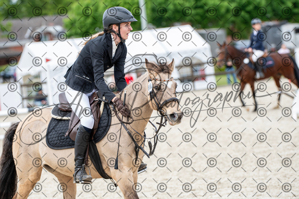 KPT_6273 | andre_photographic