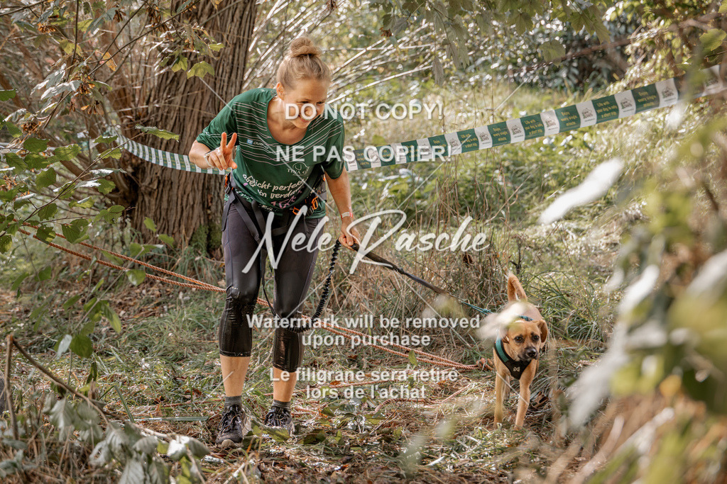 nelerasche_Hunsrück2026_Sa1400-1500_442 | nelerasche