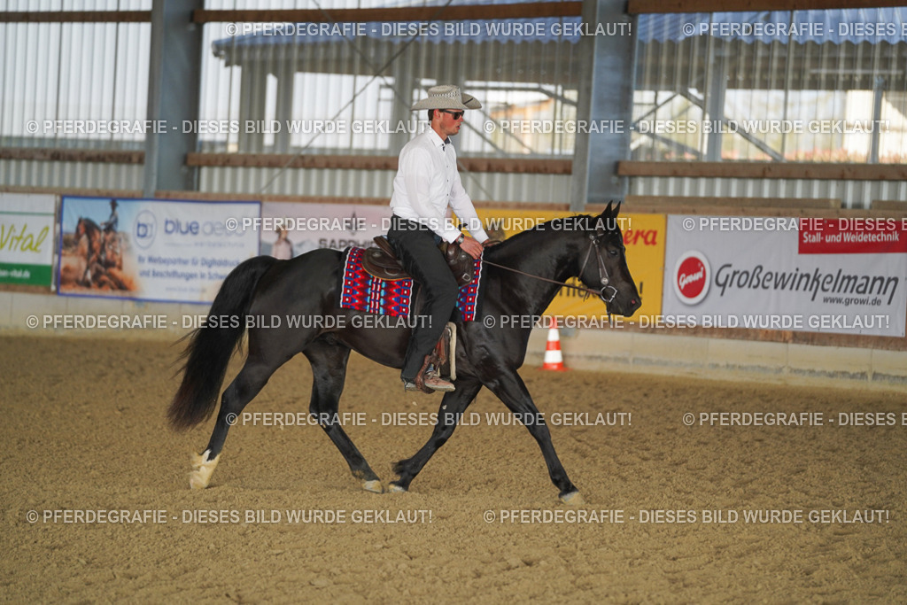 DSC08816 | Pferdegrafie