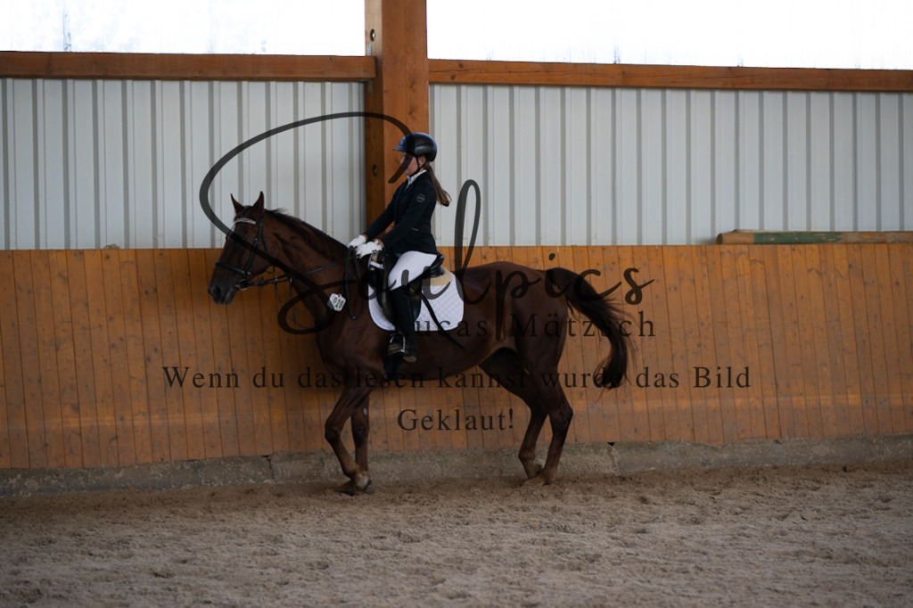 A7V02084 | Pferdefotograf