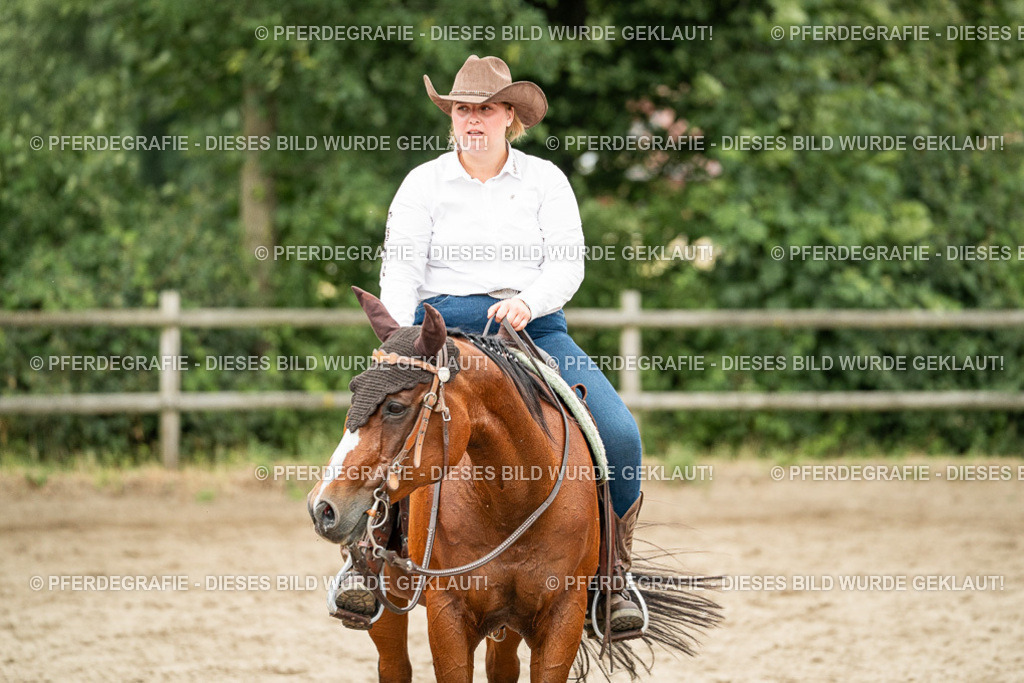 DSC04567 | Pferdegrafie