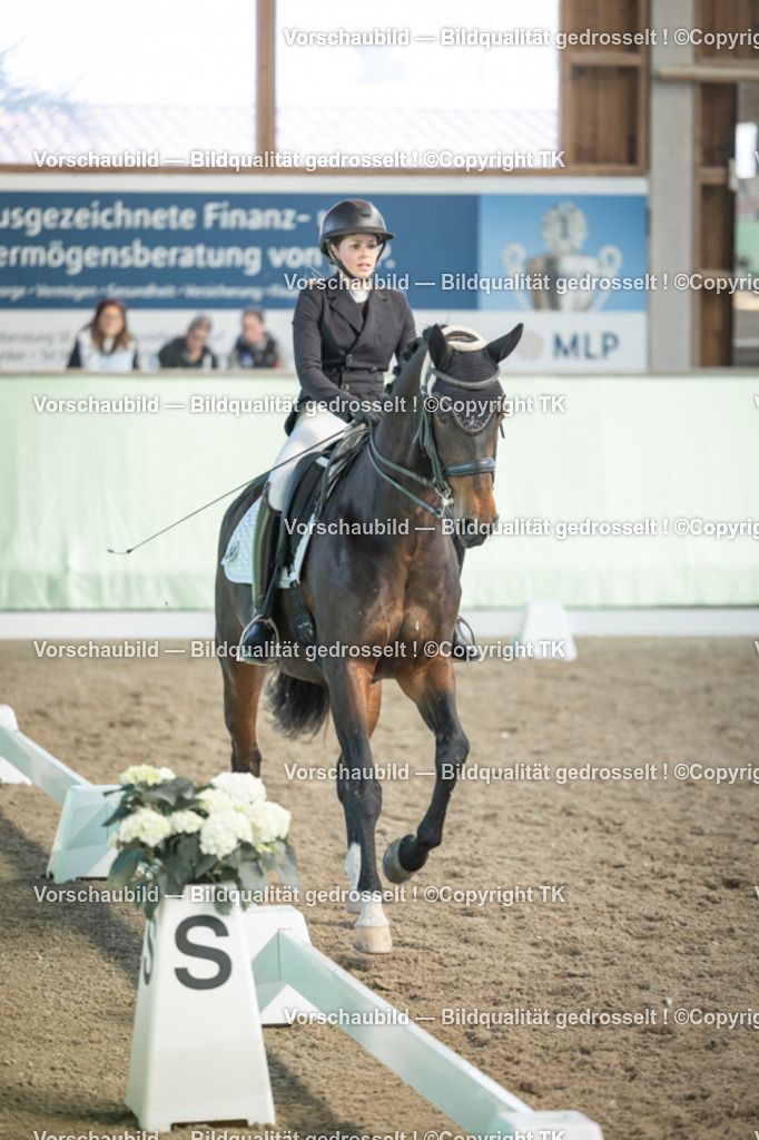 _D5A2794 | Emotionale Pferde- & People-Fotografie rund um Heidelberg, Leimen & Umgebung. Natürliche Fotos von Pferd, Mensch & Familie. Jetzt Termin sichern!