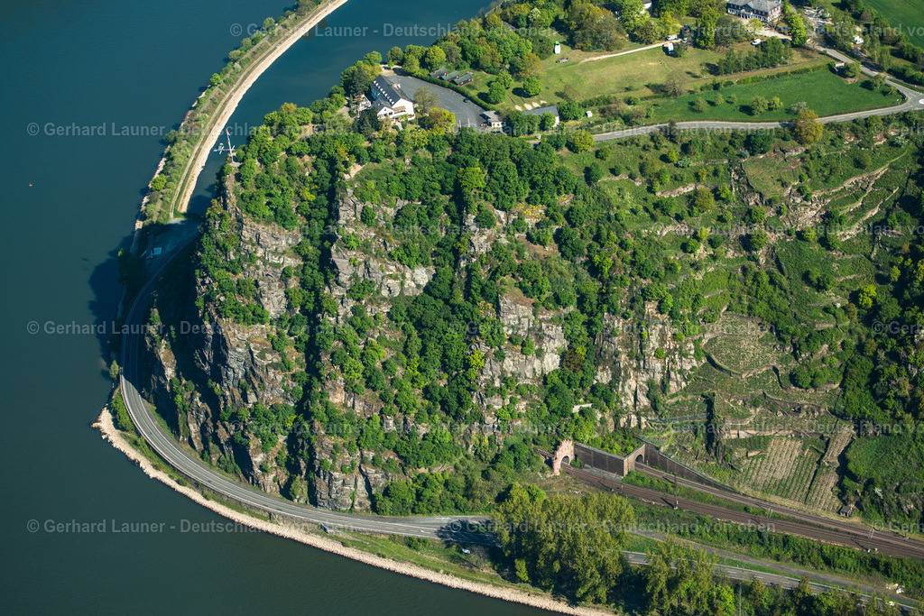 3490486 | Loreley am Rhein