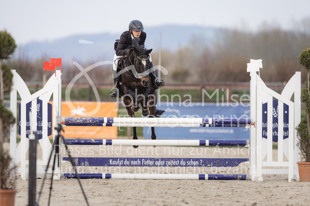 230406_Frühlingsfest_A-Stil1-127 | Deine schönsten Turniermomente als professionelle Fotos! Entdecke hochwertige Pferdesport-Fotografie im Online-Shop. Jetzt Fotos finden & bestellen!