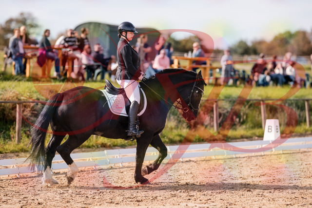 2026_10_03_Siefer-Hof_120659_Z81_08392980 | Professionelle Reitsport-, Turnier- und Eventfotografie von Robert Broda. Galerien mit ausgewählten und bearbeiteten Bildern direkt online ansehen und bestellen.