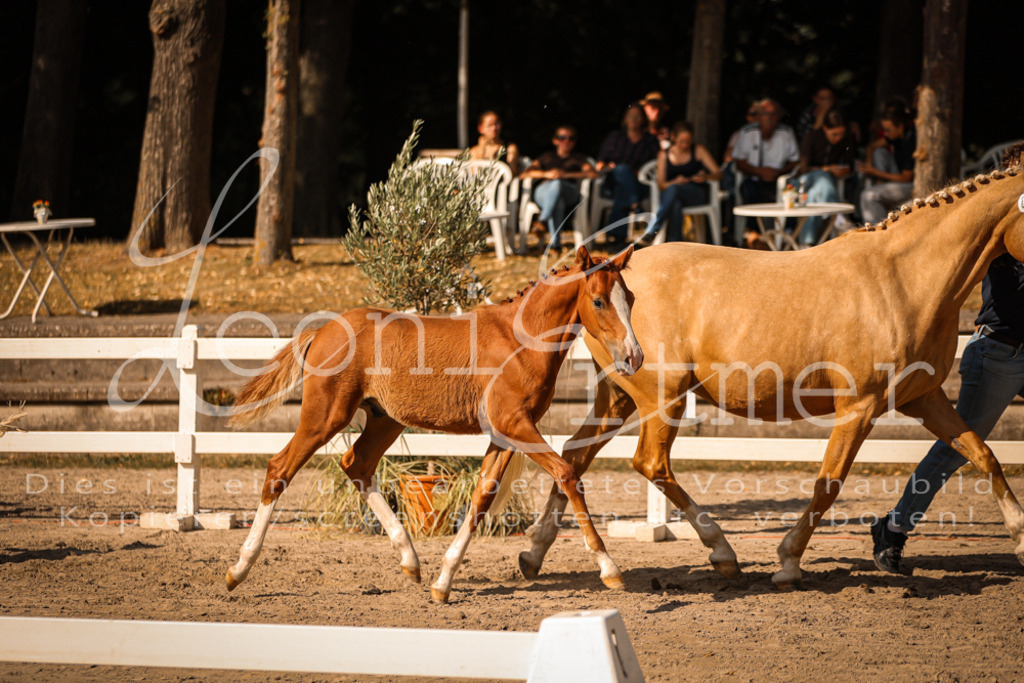 11.DoRP00036 | Leoni Ertmer Photography - Realisiert mit Pictrs.com