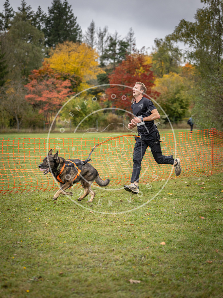 Pfotenfotografie_DV3A3028 | Hundefotografie, Tierfotograf, Pfotenfotografie, Fotoshooting Hund, Hunde Portrait, Hundesport, Hundeportraits, Heideshooting, Hunde, Sportfotograf, Hundefotograf, Turnierhundsport, THS,  - Realisiert mit Pictrs.com