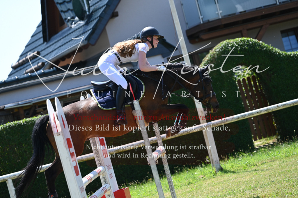 DSC_0812 | Pferde- und Turnierfotografie in Westsachsen. Pferdeportraits, Auftragszeichnungen und intuitive Kunst.