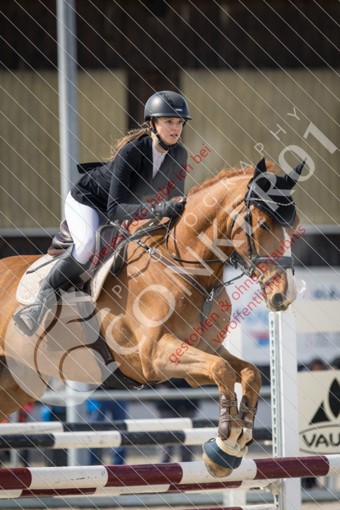 IMG_4281 | Sport-, Event- und Tierfotos in Profiqualität. Einfach auswählen, bestellen und herunterladen. Dein Moment – perfekt festgehalten.