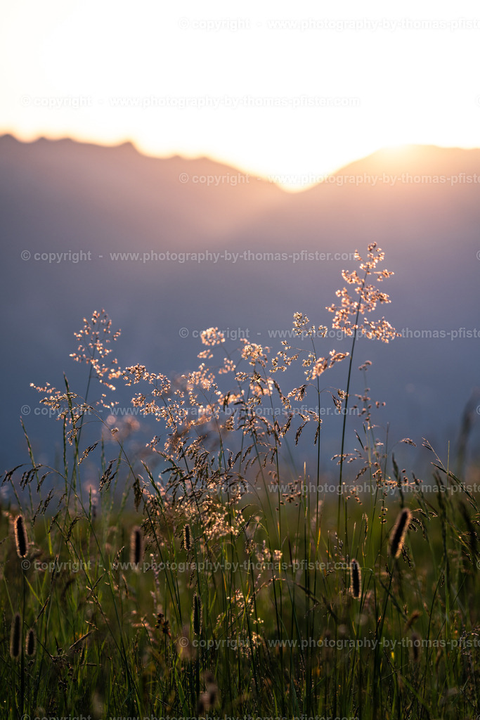 Zillertal Höhenstrasse Sommer copyright  Thomas Pfister-5 | PHOTOGRAPHY BY THOMAS PFISTER