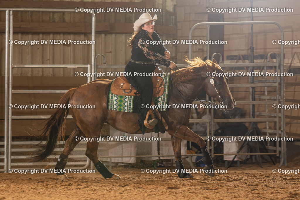 NID02036 | dv-media-shop - Realisiert mit Pictrs.com