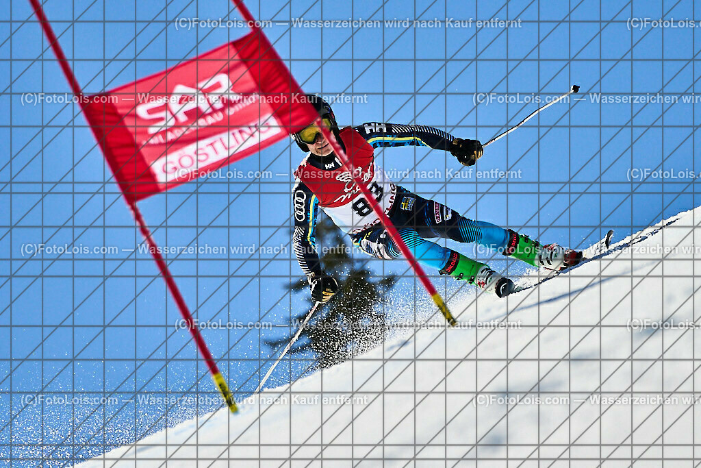 ALP5380_WCM-SuperGiant_Kat-B_Hedberg Lasse | (C)FotoLois.com, Alois Spandl, World Criterium Masters Ski Alpin 2023 Hochkar, SuperGiantSlalom, Kategorie B, Mi 22. März 2023.