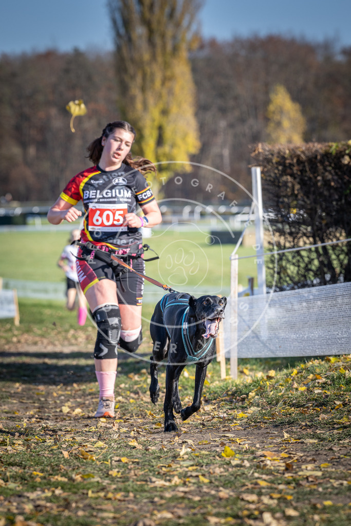 CaniXpix_DV3A9609 | Hundefotografie, Tierfotograf, Pfotenfotografie, Fotoshooting Hund, Hunde Portrait, Hundesport, Hundeportraits, Heideshooting, Hunde, Sportfotograf, Hundefotograf, Turnierhundsport, THS,  - Realisiert mit Pictrs.com
