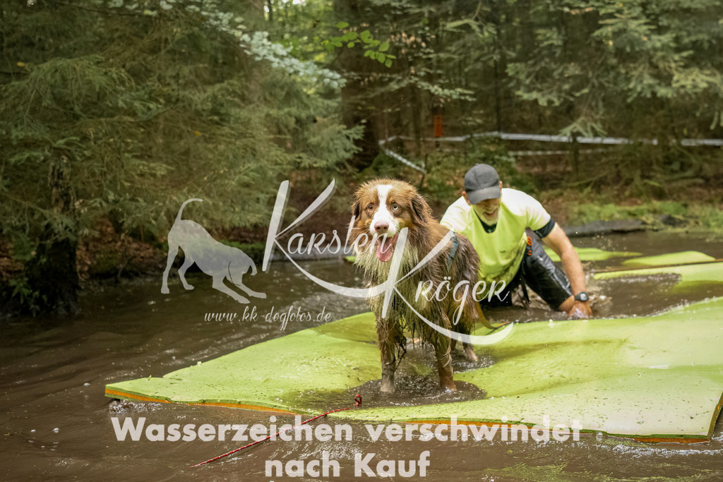 1231_ZZ90079-Bearbeitet | kk-dogfotos