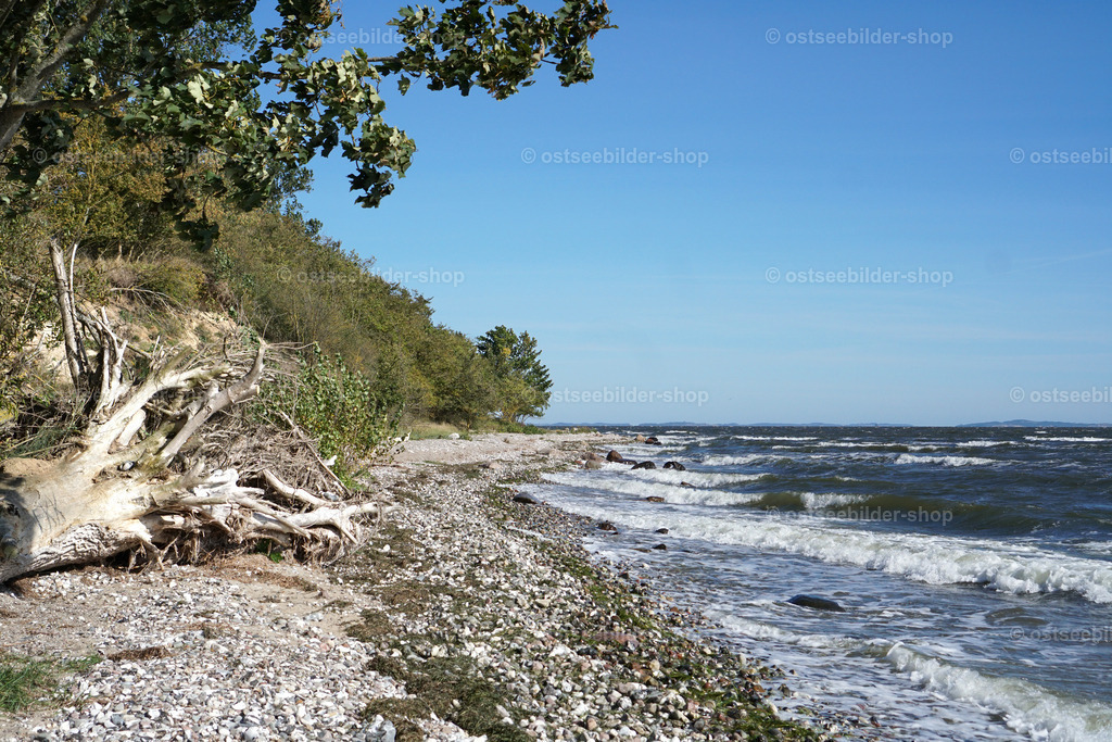 Schaumkronen auf dem Greifswalder Bodden | Das Bild zeigt die Boddenküste der Halbinsel Zudar bei kräftigem Wind und Brandung.