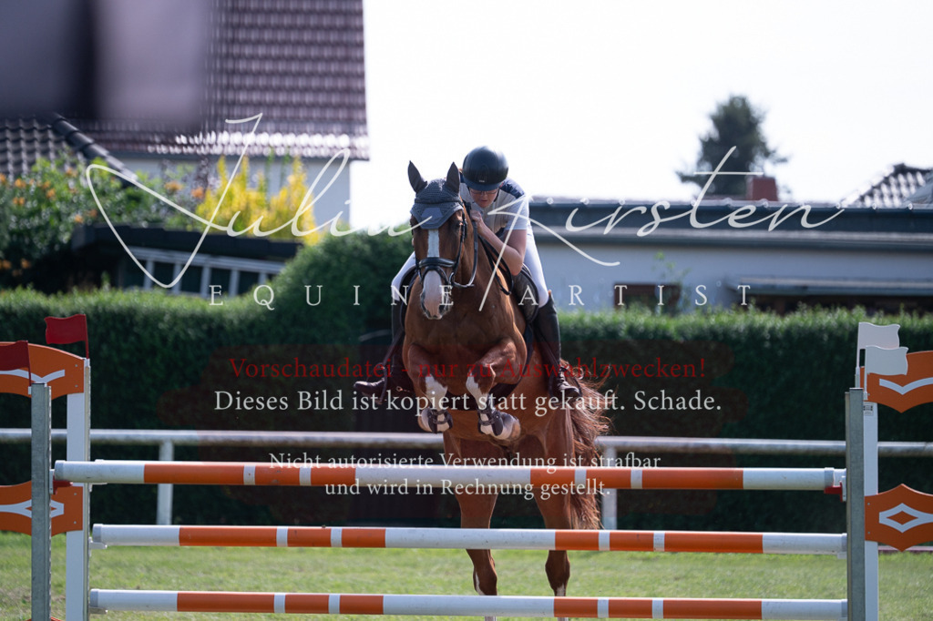 DSC_0939 | Pferde- und Turnierfotografie in Westsachsen. Pferdeportraits, Auftragszeichnungen und intuitive Kunst.