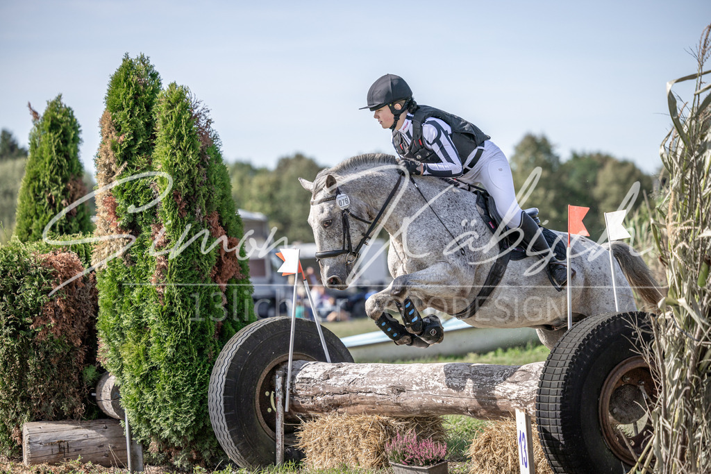 20250907-_3LI9972 | Tierfotografie Pferde, Hunde, Katzen, Haustiere.
Turnierfotografie Reitturniere, Reiten, Springreiten, Dressur in Hanau, dem Main-Kinzig-Kreis und dem Rhein-Main- Gebiet um Frankfurt