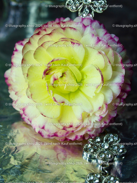 titusgraphy_P5066661-vz-ln | titusgraphy-shop: Geschenkideen mit Qualitätsfotos. titusgraphy-shop: gift ideas with quality photos. titusgraphy-shop: idées cadeaux avec photos de qualité.  - Realisiert mit Pictrs.com