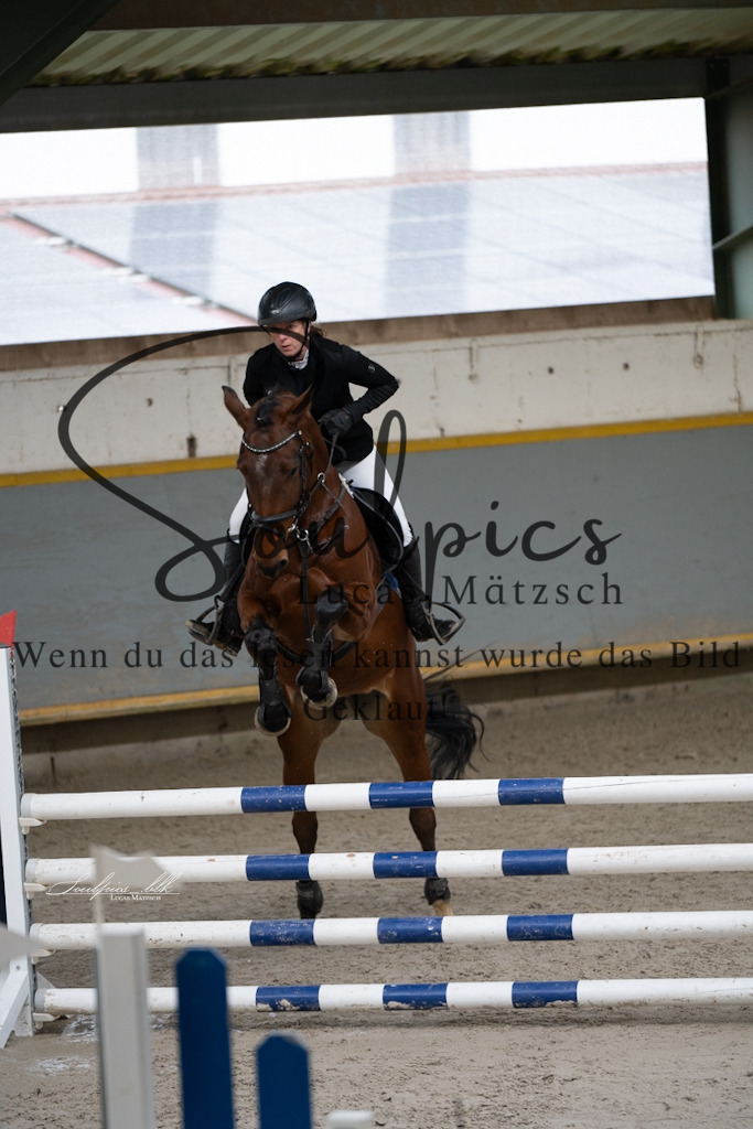 A7V01438 | Pferdefotograf