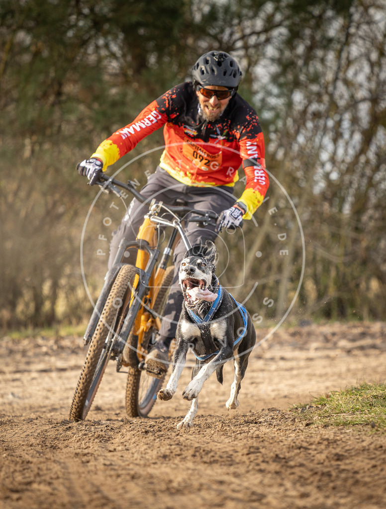 Pfotenfotografie_DV3A7538 | Hundefotografie, Tierfotograf, Pfotenfotografie, Fotoshooting Hund, Hunde Portrait, Hundesport, Hundeportraits, Heideshooting, Hunde, Sportfotograf, Hundefotograf, Turnierhundsport, THS,  - Realisiert mit Pictrs.com