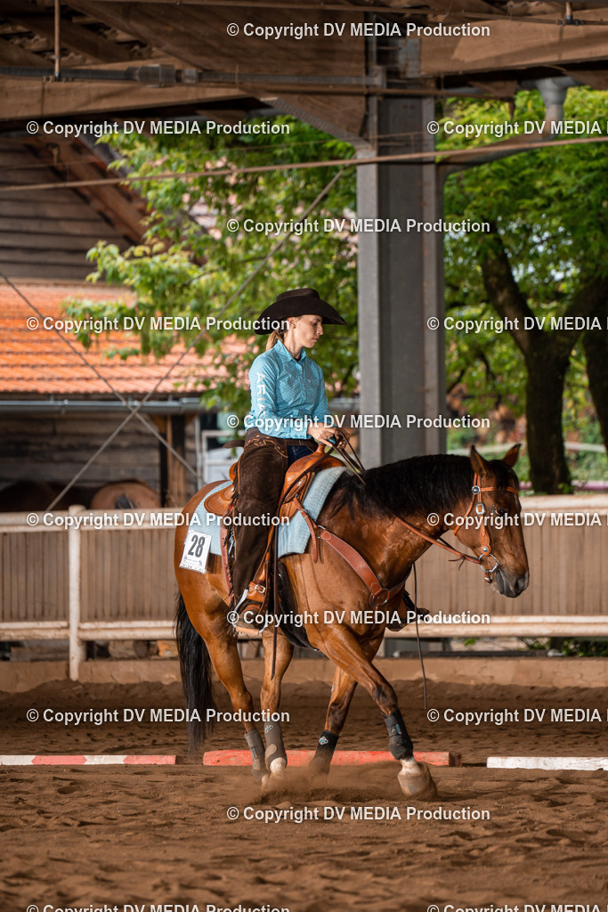 Erbach Tag 2-271 | dv-media-shop - Realisiert mit Pictrs.com