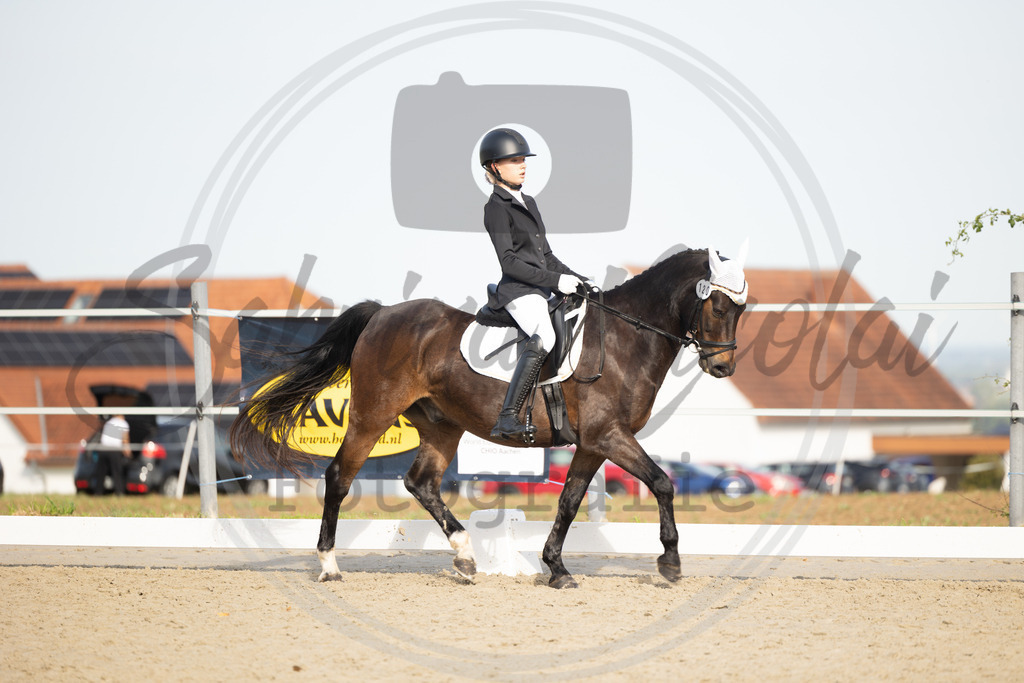 994A1216 | sabrinanicolaifotografie - Realisiert mit Pictrs.com
