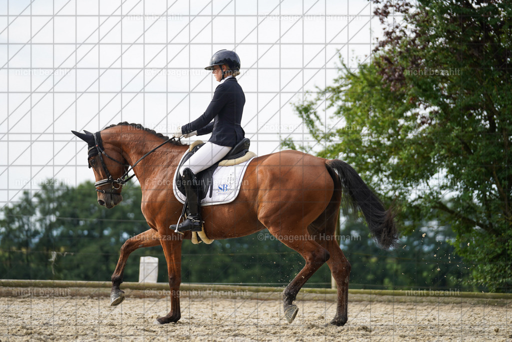 20230826-FAH04558 | Forstinning, 2023, Dressurturnier, Turniersportbilder, Turnierfotografen Bayern, Fotoagentur Herrmann, Reitsportfotografie, Turnierbilder