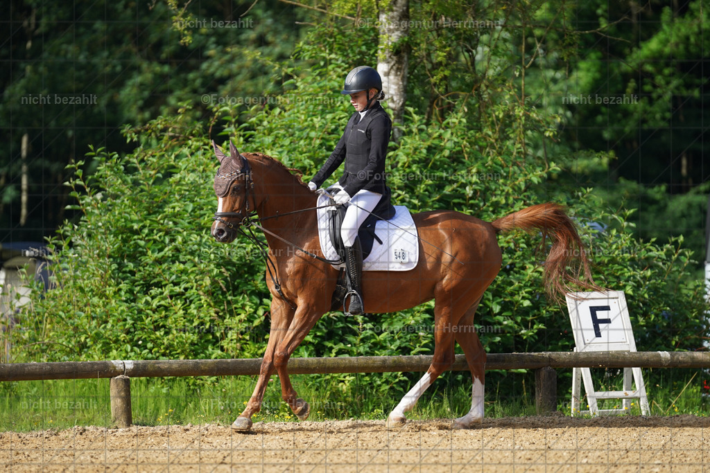 20240706-FAH04438 | Grafing Turnierfotos, Reitverein Ebersberg, Turnierfotografen Bayern, reitsportbilder, Pferdefotograf, reitsportfotograf, Sportbilder, Reitsportfotografie, Fotoagentur Herrmann, Turnierfotograf